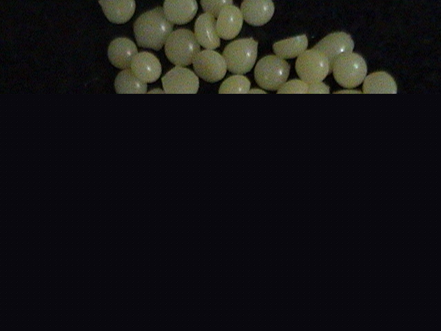 Candelilla Wax
